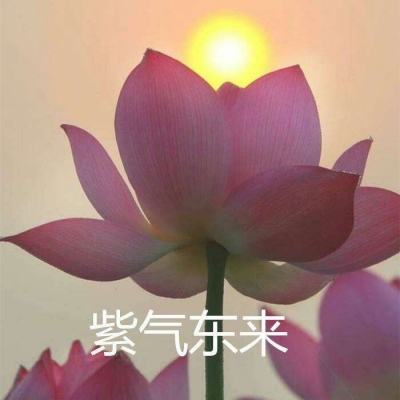 全能高手手游九游版下载